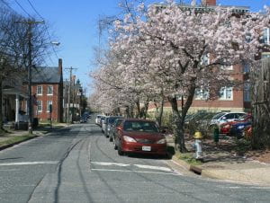 Street in Fredericksburg, VA photo